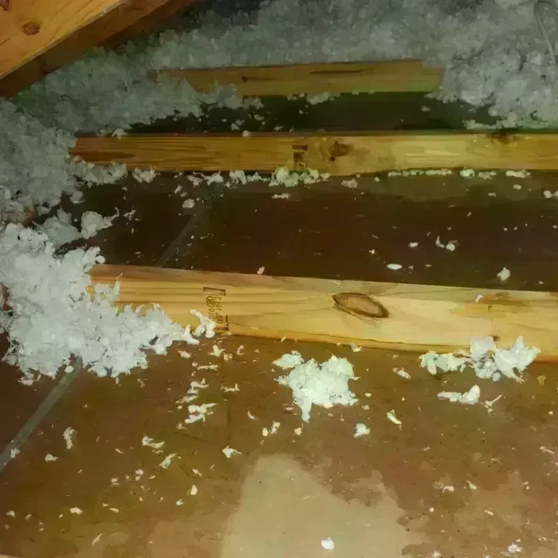 Attic Water Damage in Ladysmith, WI